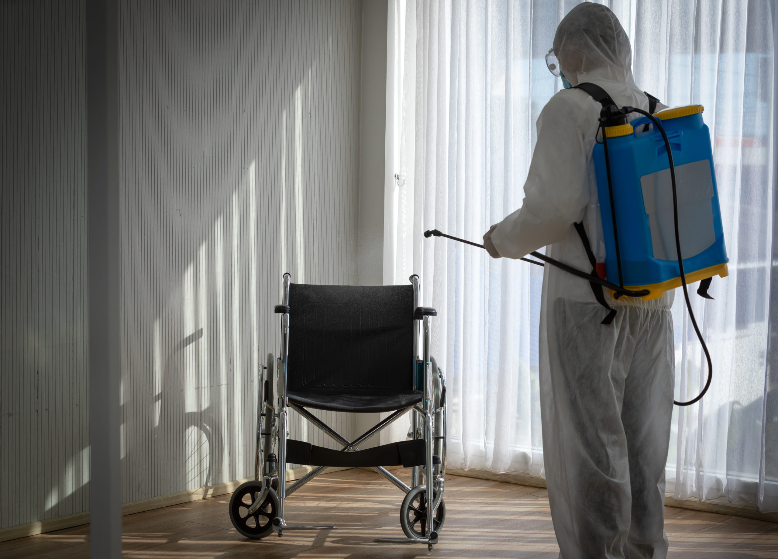 imgpsh_fullsize_anim